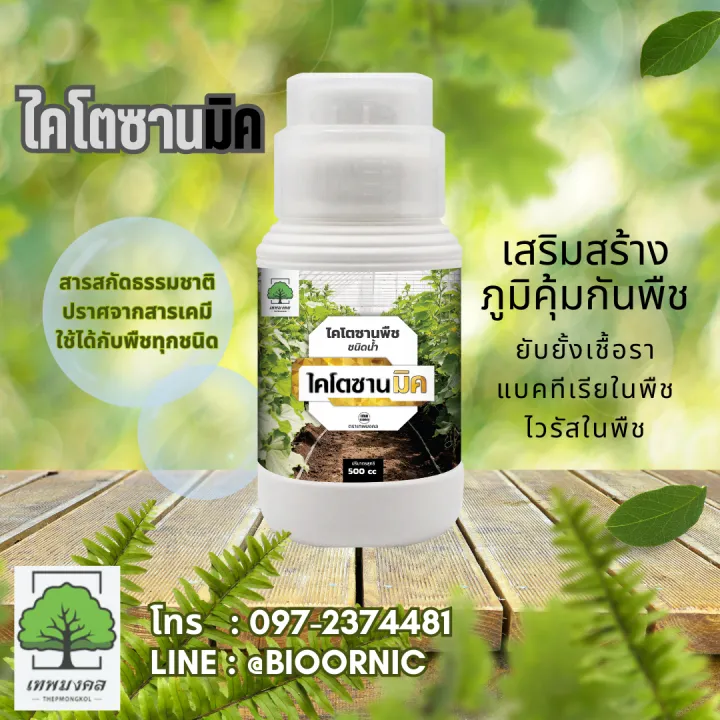 ไคโตซานมิค วัคซีนพืช ป้องกันเชื้อรา โรคใบด่าง