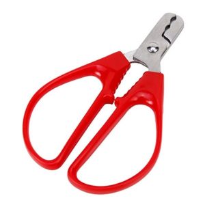 Stainless Steel Melon Seeds Nut Sheller Walnut Pine Sheller Nutcracker Pine Plier Scissor Kitchen