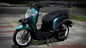 Sticker scotlite bunglon chameleon aurora skotlet bunglon scotlet motor hologram sticker scotlet scoopy merk infinity kualitas terbaik