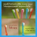 แปรงสีฟันและยาสีฟัน แปรงสีฟันเด็ก MOLAR BEAR ( เด็กเล็ก 0-3 / 3-6 / 6-12 ปี ) ขนนุ่มพอดี หัวแปรงเรียวยาว คอแปรงเรียวยาว