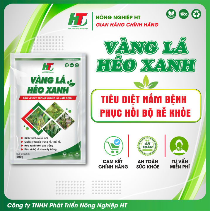 Vàng lá héo xanh - Quản lý, phục hồi cây trồng không lo nấm bệnh ...