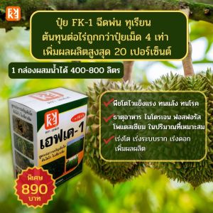 ทุเรียน โตไว ใบเขียว ผลใหญ่ น้ำหนักดี ฉีดพ่น ปุ๋ย FK-1 ต้นทุนต่อไร่ถูกกว่าปุ๋ยเม็ด 4เท่า เพิ่มผลผลิตสูงสุด 20เปอร์เซ็นต์