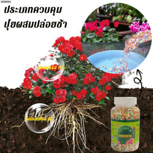 vivi lifestyle ปุ๋ยช่วยเจริญเติบโตสำหรับต้นไม้ประดับและกระถาง