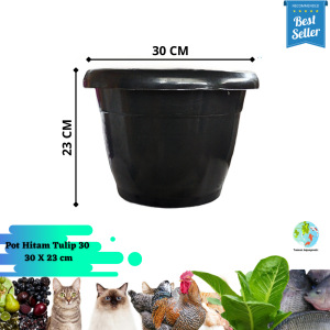 Pot Hitam 30 Tulip High Quality