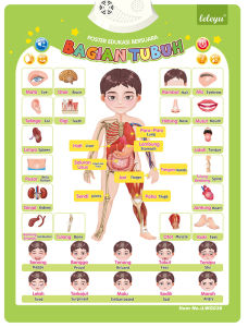 3 PCS Poster Anak Suara Bahasa Indonesia Inggris Arab / Bagan Dinding Audio Bilingual / Poster Edukasi Anak Suara