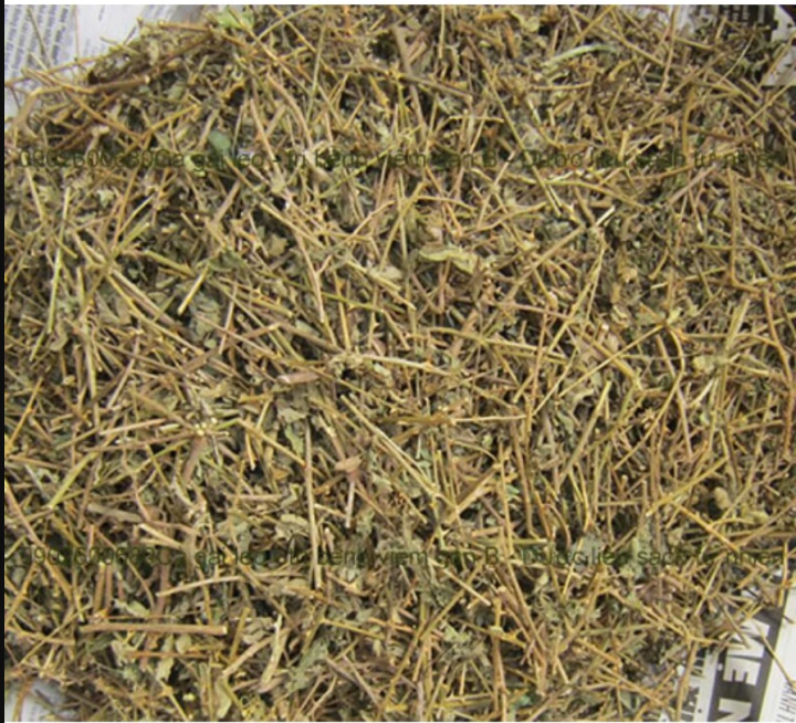 1kg Cà gai leo khô 1kg, trà cà gai leo thanh nhiệt, mát gan, giải độc ...