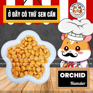 Bánh Phô Mai Tăng Vị Giác - Tăng Nọng Cho Hamster/Sóc/Thỏ/Bọ Và Thú Nhỏ