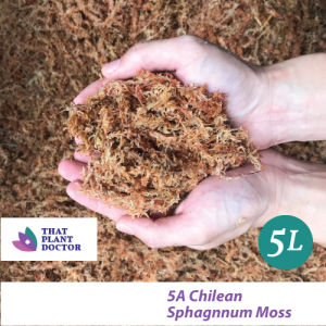 5A Chilean Sphagnum Moss (5L)