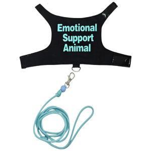 Regulable Lizards Harnesses Set Outdoor Walking Leashes Colorful Pet Harnesses for Outdoor Walking Small Reptiles Pet