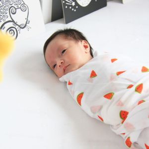 Le Petit Society Organic Newborn Baby Swaddle - Watermelon