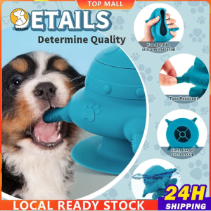 Clara Cat Tunnel Play Cat Toy Indoor Pet Toy Cats Bed Kitten Training Donuts House Felt Cat Nest Removable