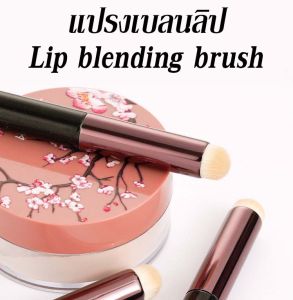 LOLO HOME แปรงแต่งหน้า หัวกลม ขนนุ่ม ไม่อัตรายต่อผิว ริมฝีปาก แปรงอายแชโดว์ แปรงทาลิป