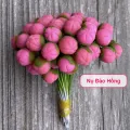 (50 Cái) Nụ Hoa Mai, Hoa Đào Bằng Đất Sét. 