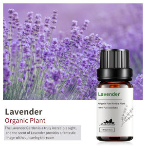 Single Essential Oil Essence Fragrance Aromatherapy Massage Essential Oil Sandalwood Diffuse Wholesale 10ml Sample