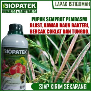 PROMO BIOPATEK 500 ML ANTI PENYAKIT PADI BLAST HAWAR DAUN BAKTERI BERCAK COKLAT DAN TUNGRO – PUPUK ORGANIK CAIR ANTI BLAST HAWAR DAUN BAKTERI BERCAK COKLAT DAN TUNGRO PADA PADI