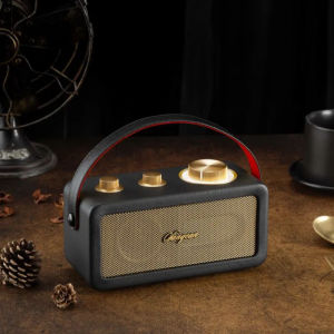 Sangean speaker T1 Beethoven portable speaker True wireless speaker bluetooth Hand speaker sale big sound bluetooth speaker  Audio Portable Speakers Wireless Bluetooth Speakers True wireless (TWS) speaker radio FM high sensitivity radio reception