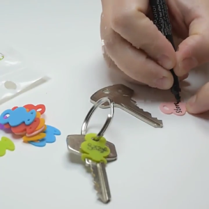 Bộ 12 Thời Trang Silicone vỏ chìa khóa Key Nhận Dạng Nhẫn Đầy Màu Sắc Nhận Dạng Nhiều Màu Toppers Cho Key