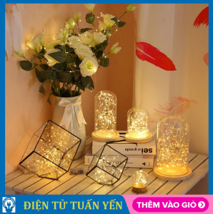 Đèn led dây kẽm 10 mét trang trí nhà cửa trang trí quán ăn trang trí Noel (dùng nguồn)