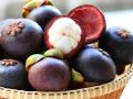 CÂY  MĂNG CỤT CÂY GIÔNG CHUẨN , SIÊU NĂNG SẤT , SIÊU QUẢ , SIÊU LỢI NHUẬN. 