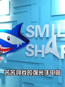 SD5031 Mini Torch Light Super Bright Flashlight Portable Small with Metal Clip Magnetic Type-C Rechargeable Outdoor Waterproof Running Daily Use Gift Emergency Lamp