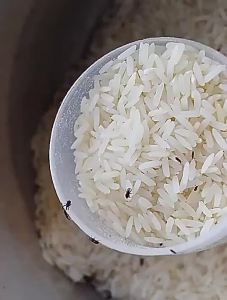 Activebae Transparent Mickey Design Rice Storage Press Pop Lid Kitchen Organizer With Scoop