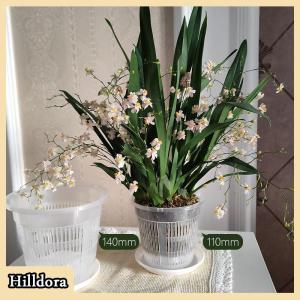 [Hilldora] 11 14cm Mesh Pot Root Control Transparent Flowerpot For Orchid Flower Breathable Growth Container Garden Plastic Flower Pot