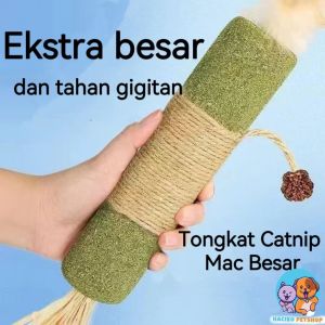 Ekstra besar Catnip Stik Alami Suguhan Kucing Hewan Peliharaan Mainan pembersih gigi kunyah/ Catnip Kucing Makanan Hewan/XXL CATNIP