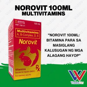 Norovit 100ml - Vitamin B Complex for Livestock Health for Animals