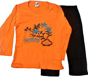 T-Shirt Bersulam Lengan Panjang Kanak-Kanak Perempuan Girls Long Sleeve Embroidery T-Shirt Set Seluar Leggings T-Shirt Bersulam