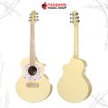 Daisy D100 Series กีต้าร์โปร่ง Daisy Acoustic Guitar - เต่าแดง. 