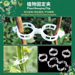 植物固定夹 Plant Hanging Clip Tomato Trellis Clips Garden Vegetable Vine Clips