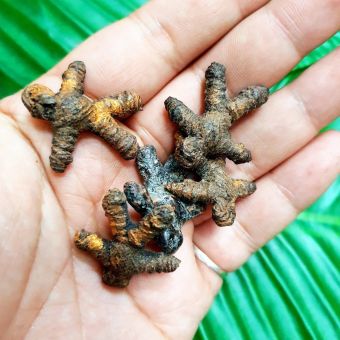 รูปจากผู้ขายบน Lazada: หุ่นพยนต์ ทำจากผ้าห่อศพและเชือกมัดตราสัง รวมไปถึงมวลสารอาถรรพ์ต่างๆ ปลุกเสกปลุกเรียกอาการ 32 มีจิตทุกองค์ สร้า ตั้งราคา ฿89 ขายแล้ว 65 ชิ้น
