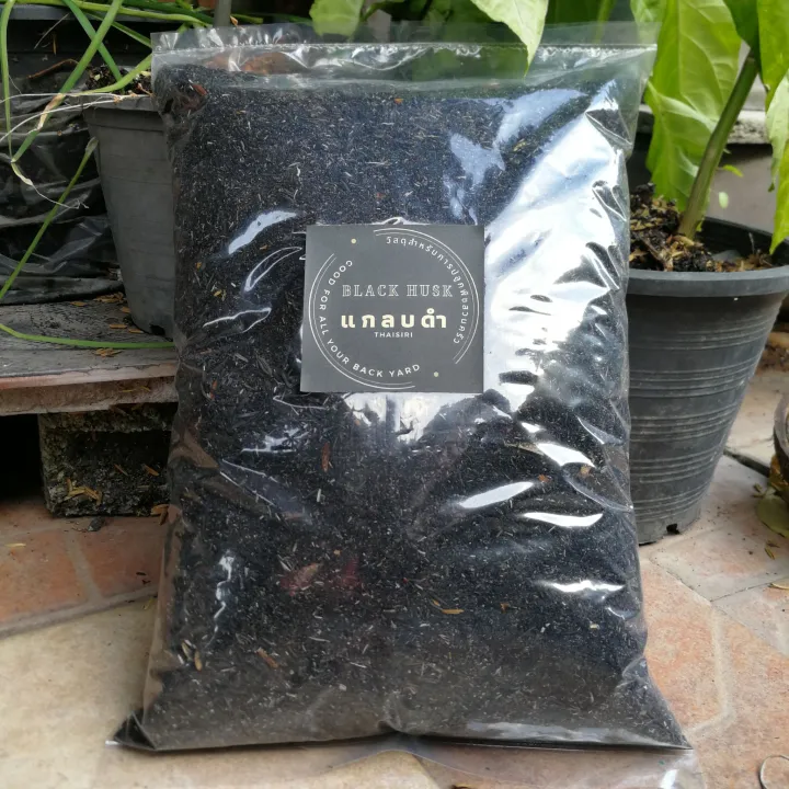 10 อันดับ แกลบดำ ดินปลูก และเมล็ดพันธุ์คุณภาพดี สำหรับคนรักสวน ปี 2025