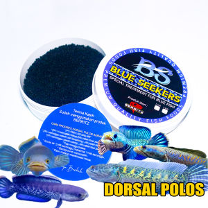 BERRITZ Pakan Pelet Blue Seekers Booster Warna Biru ikan aurantipulcrastewartilimbataandrao