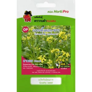 เมล็ดพันธุ์ กวางตุ้งดอกขาวฮานอย (ซองรีเทลและซองม่วง)