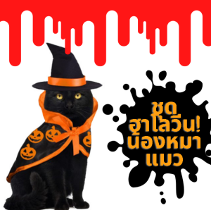 ชุดฮาโลวีน น้องแมวเหมียว set-2ชิ้น มีเสื้อ+หมวก ชุดน้องแมวผีฮาโลวีน ชุดแฟนซี