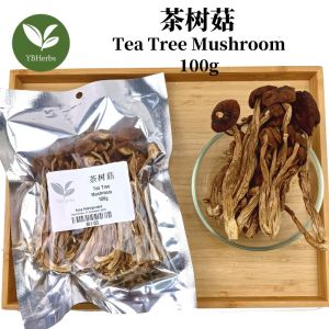 茶树菇 100g Tea Tree Mushroom Willow Mushroom 柱状田头菇