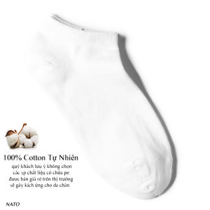 COMBO Tất Vớ Ngắn Nato SOCKS Vải Cotton Kháng Khuẩn Chống Mùi Hôi Màu Trắng Đen Xám Xanh Navy Đẹp Cao Cấp Trơn Mắt Cá