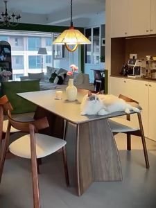[CozyNest ]【SG⚡】Solid Wood Sintered Stone Rock Board Dining Table Dining Table And Chair Combination Antique Style Dining Table
