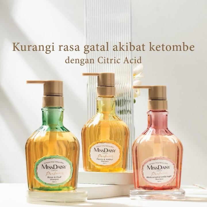 MISS DAISY | French Perfume Shampoo | Anti Ketombe | Rontok | Lepek | Gentle Shampoo | 50ml 500ml  Peony Amber Rose Oud Blackcurrant Vanilla Sugar