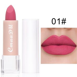 ELITEDEALSHUB 15 Color Matte Lipstick Long Lasting Waterproof Red Lip Stick Cosmetic Non-stick Cup Nude Matte Lipstick Women