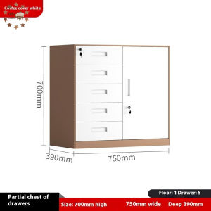 Adjustable Cabinet High Carbon Steel Cabinet Storage Large Capacity File Cabinet