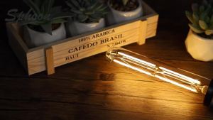 Tubular Light Bulb 7.3 Inch Dimmable T10 LED Bulb E26 6W 60 Watts