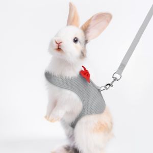 NOBLELUX Breathable Bunny Harness Leash Escape-Proof Adjustable Size Bowtie Training Rope  Polyester Pet Walking Leash Small Pets Use