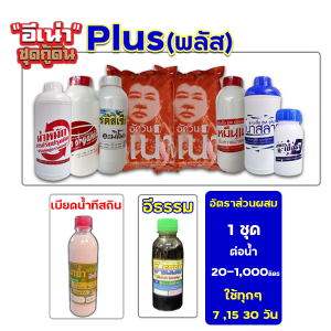 อีเน่าชุดกู้ดินพลัส