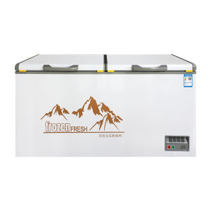 Two Door Chest Freezer – High Capacity Commercial Freezer for Kitchen Equipment & Food Storage