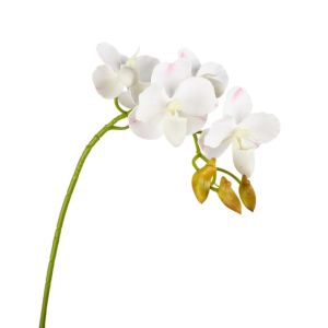 PENTU 67cm 26.38in Artificial Butterfly Orchid Branch Real Touch Plastic EVA Orchid Flower DIY Vase Decor Elegant Fake Flowers Home Office Decor