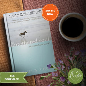 The Untethered Soul: The Journey Beyond Yourself by Michael A. Singer - Paperback