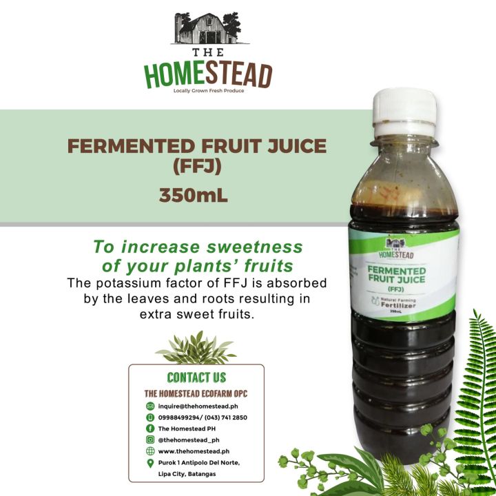 Organic Fertilizer Fermented Fruit Juice (FFJ) 350ML Bottle Lazada PH