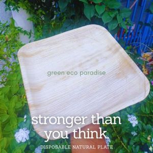 12 Inch Areca Leaf Disposable Plate 10 pieces Biodegradable Plate (Pakku Mattai) Picnic Plate | Big Dinner Plate